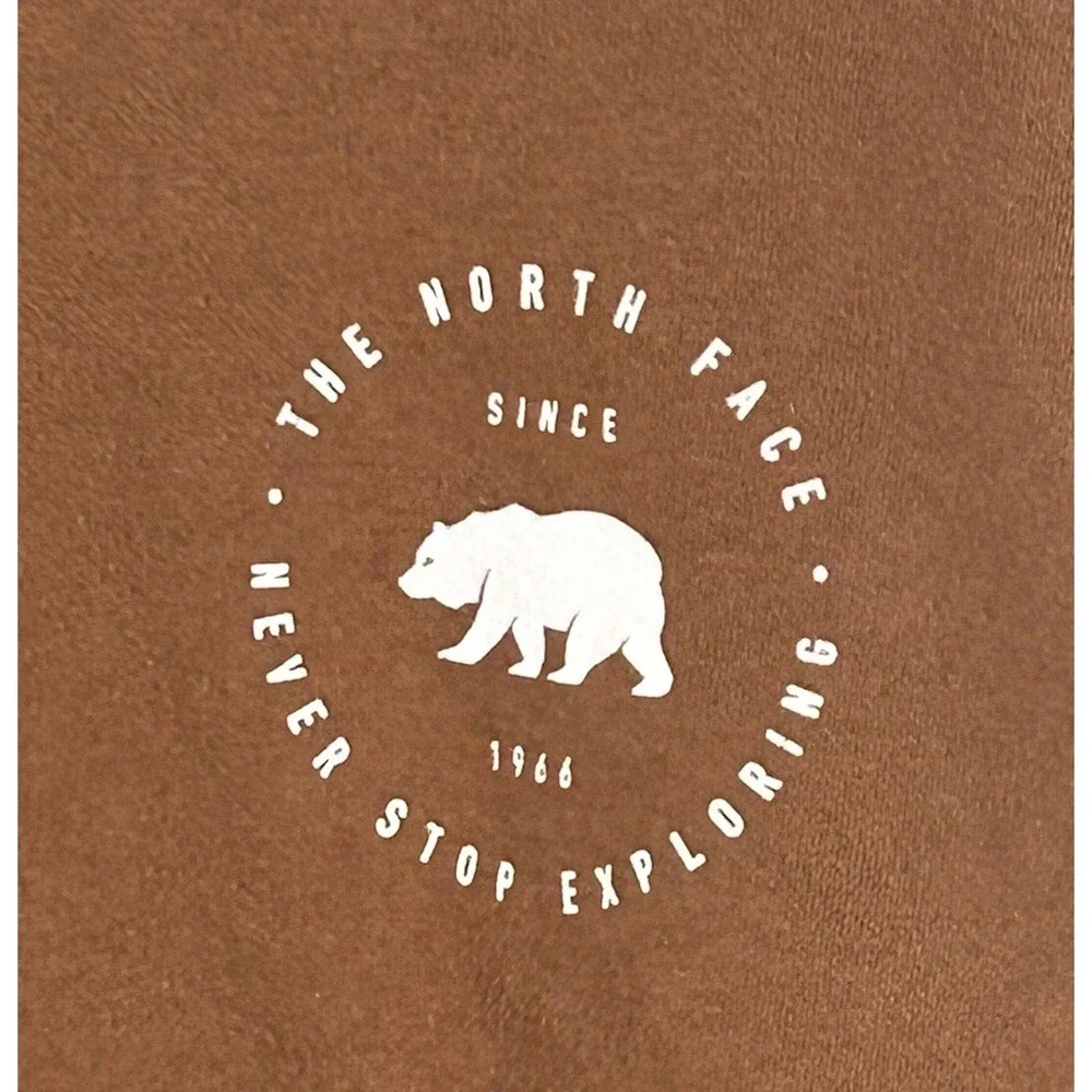 The North Face Hoodie Mens‎ Pullover Outdoor Hiking Hunting Gorpcore Brown Small